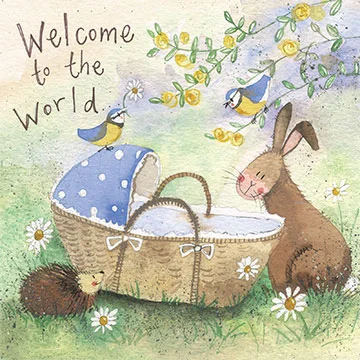 Welcome To The World Bunny New Baby AC564, prianie