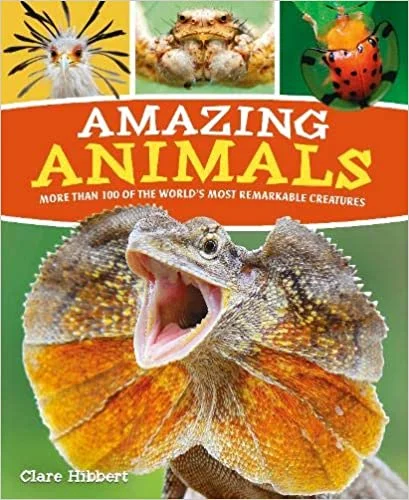 Amazing Animals, anglická kniha