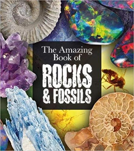 The Amazing Book of Rocks and Fossils, anglická kniha