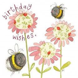 Birthday Bee LS01, prianie