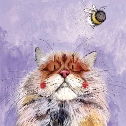 Bumble Cat Card AC754, prianie