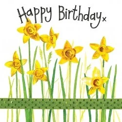 Daffodils Birthday Card S339, prianie