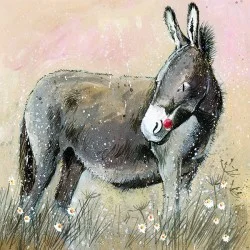 Donkey AC673, prianie