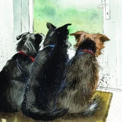 Entranced Dog Card AC674, prianie