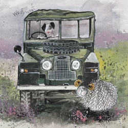 Landrover AC34, prianie