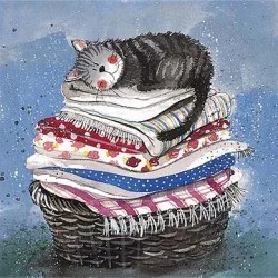Laundry Basket Card AC329, prianie