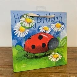 Little Ladybird / medium (MB13), darčeková taška