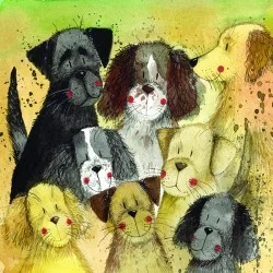 Pack Dog Card AC660, prianie