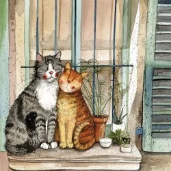 Provence Cats Card AC758, prianie