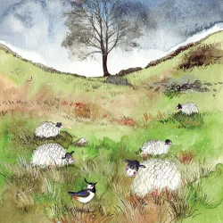 Sheep & Sycamore Card AC744, prianie