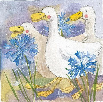 Three Ducks AC535, prianie