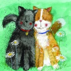 Toffee & Treacle Cat Card AC671, prianie