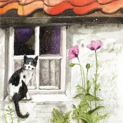 Window Cat Card AC696, prianie