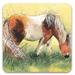 Shetland Pony Coaster C43, podložka pod pohár