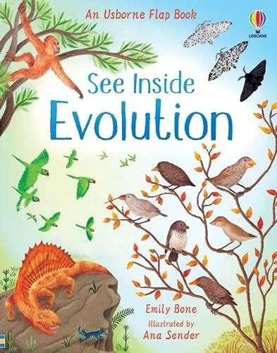 Evolution, anglická kniha-leporelo