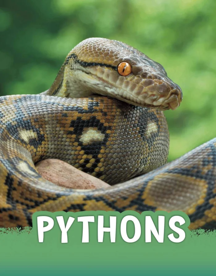 Pythons, anglická kniha