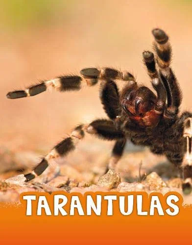 Tarantulas, anglická kniha