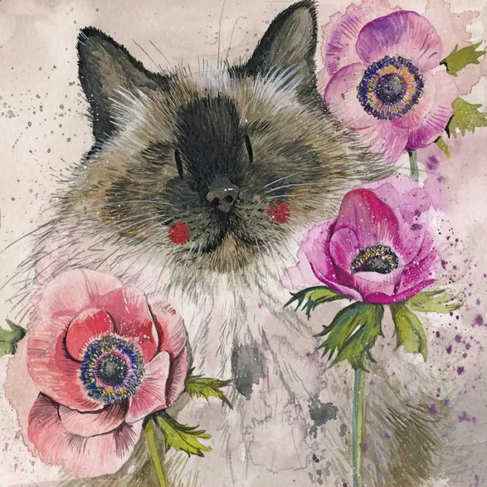 Cat in the Anemones (AC810), prianie
