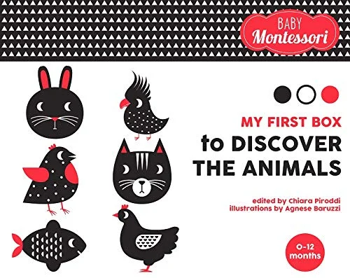 My First Box to Discover the Animals, karty