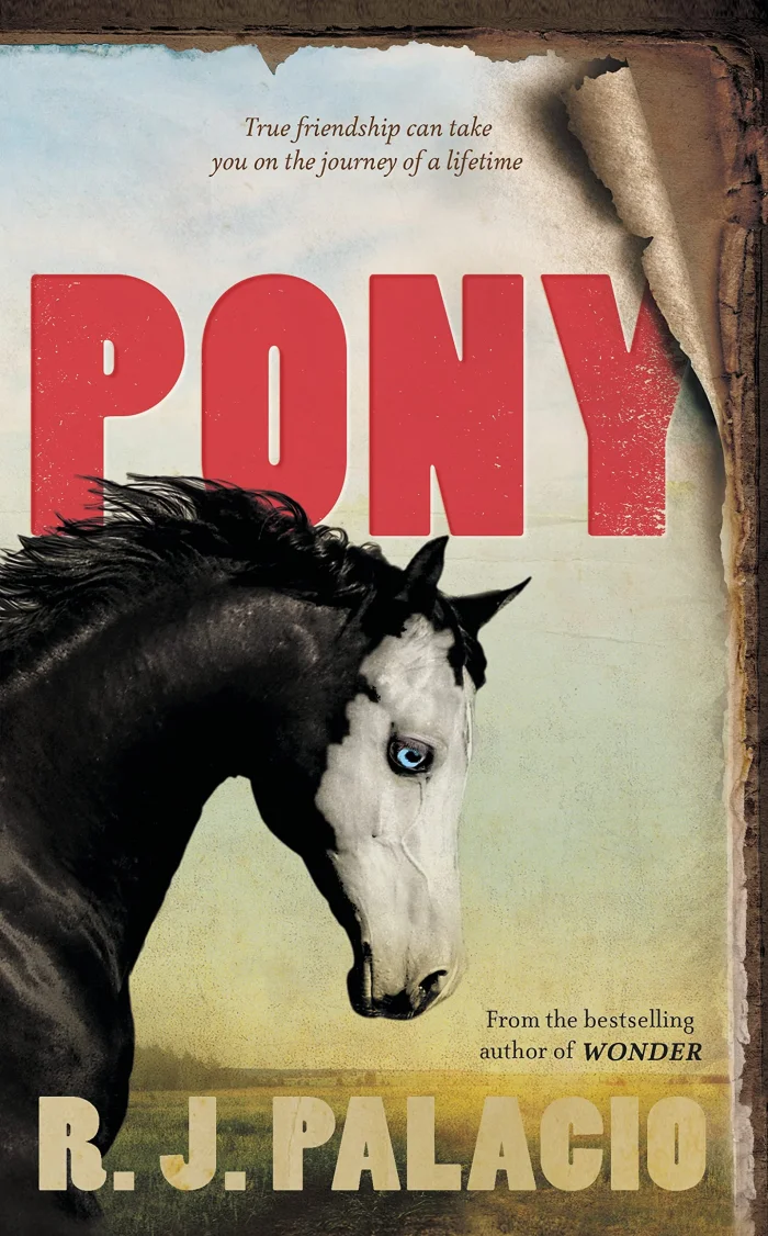 Pony, anglická kniha