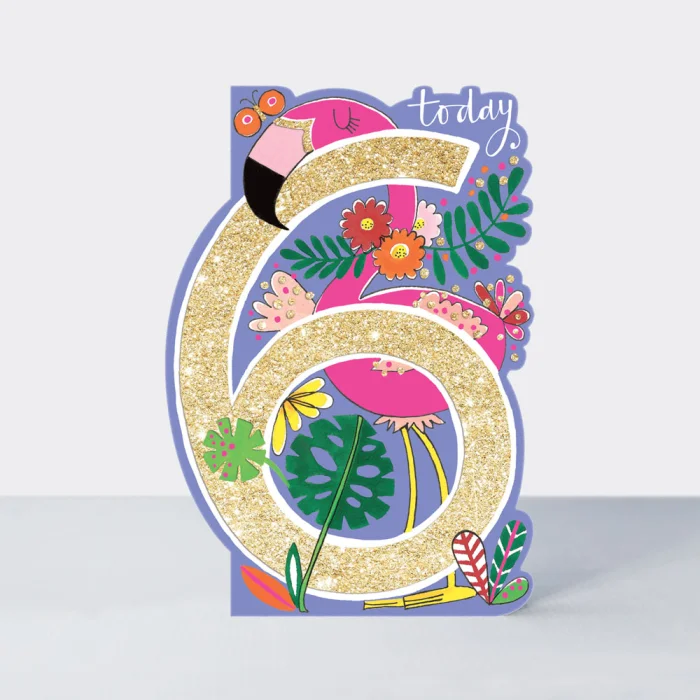 Age 6 Girl Flamingo (DAR20), prianie