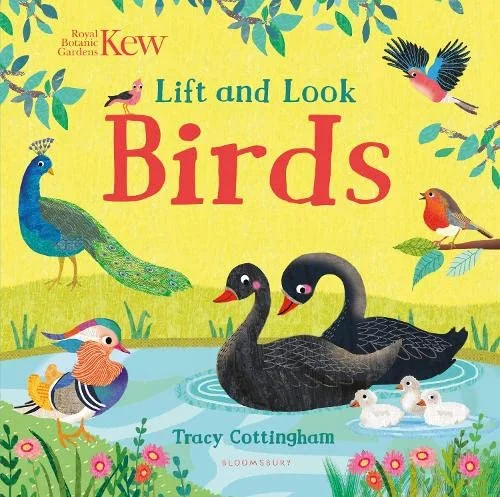 Kew: Lift and Look Birds, anglická kniha - leporelo