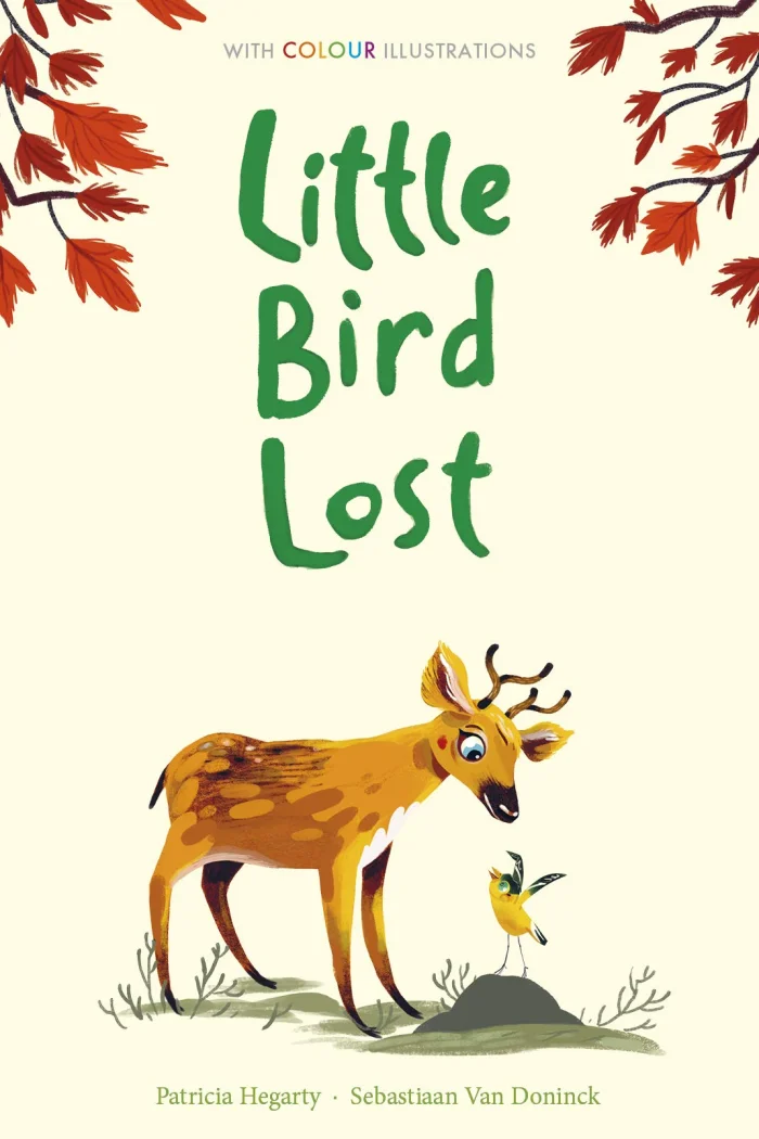Little Bird Lost, anglická kniha