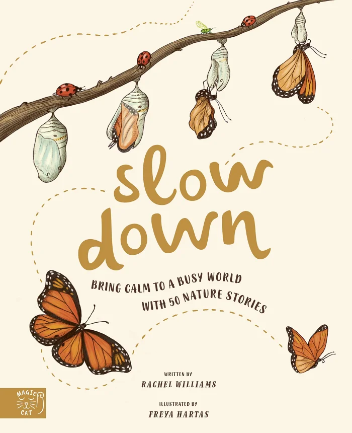 Slow Down, anglická kniha