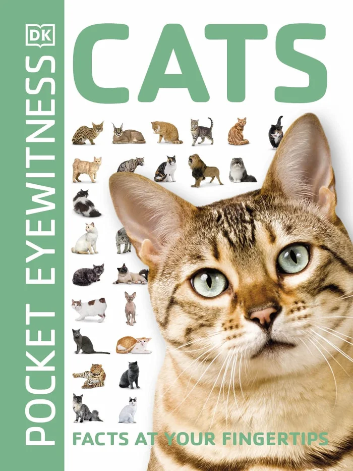 Cats, anglická kniha