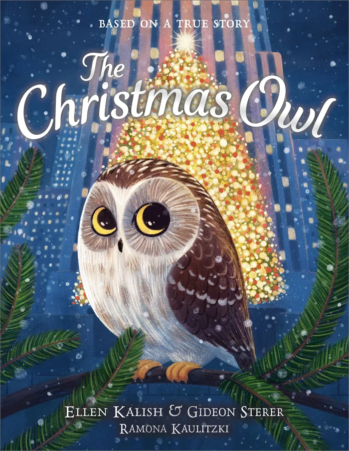 The Christmas Owl, anglická kniha