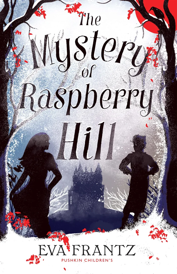 The Mystery of Raspberry Hill, anglická kniha