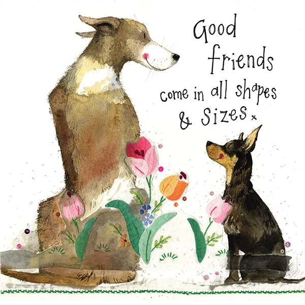 All Shapes and Sizes Friend Card (S334), prianie