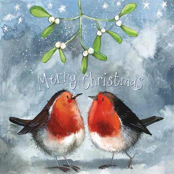 Christmas Robins Card (XLS53), malé prianie