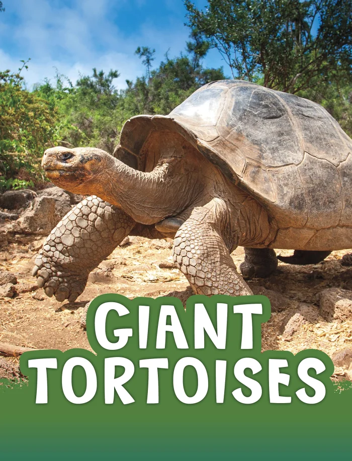 Giant Tortoises, anglická kniha