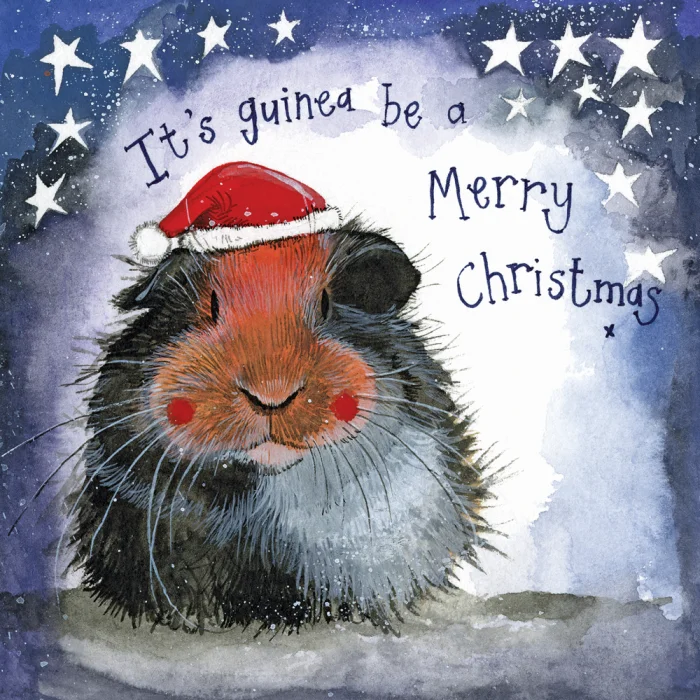 Guinea be a Merry Christmas Card (XLS38), malé prianie