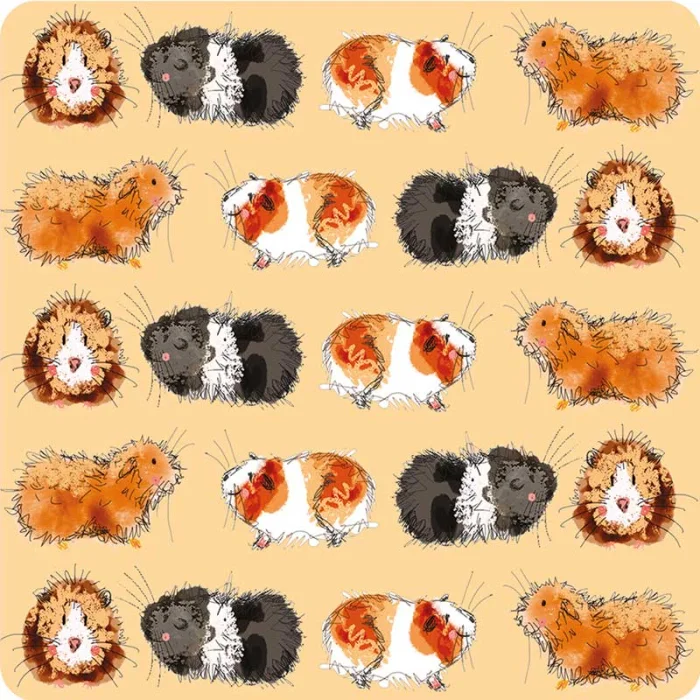 Guinea Pigs Coaster C218, podložka pod pohár