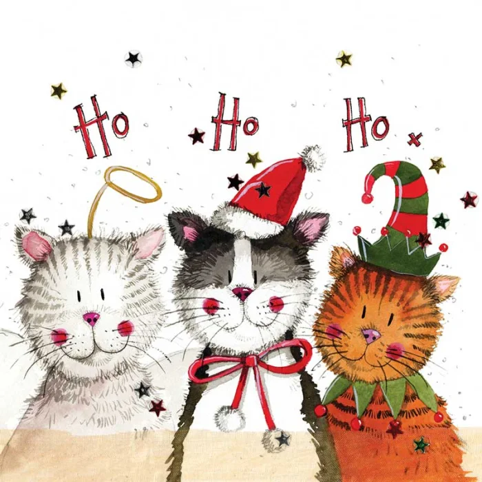 Ho Ho Ho Christmas Cat Card (XS97), prianie