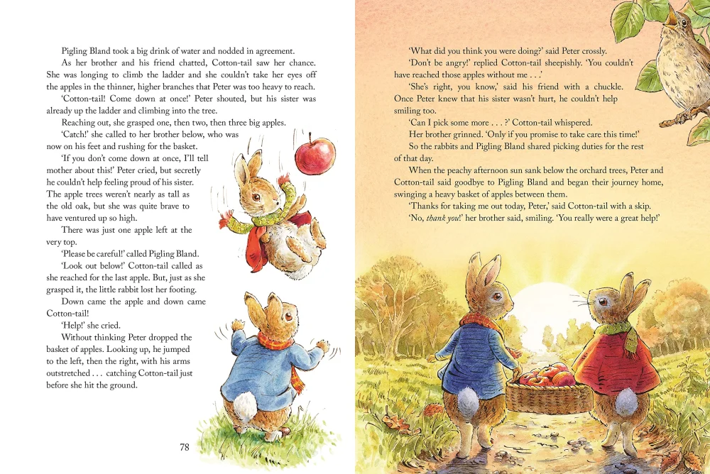 Peter Rabbit: Tales from the Countryside, anglická kniha