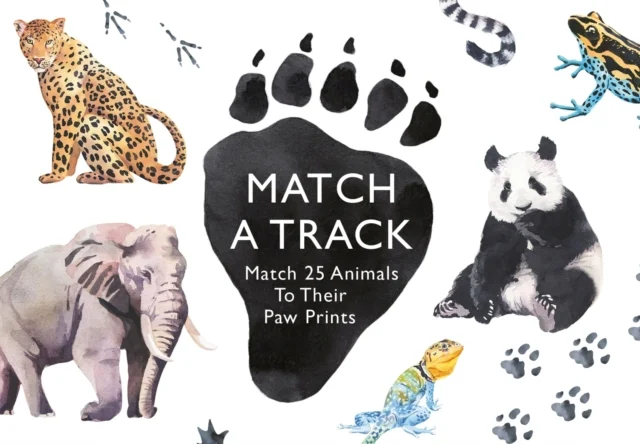 Match a Track, hra