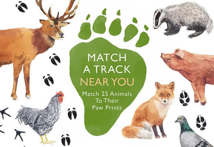 Match a Track Near You, hra