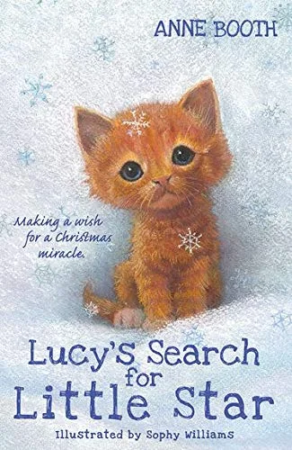 Lucy's Search for Little Star, anglická kniha