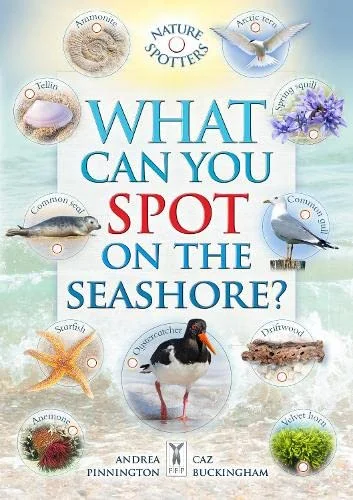 What Can You Spot on the Seashore?, anglická kniha