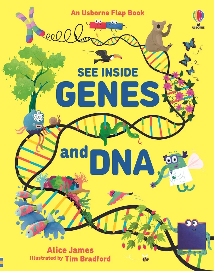 See Inside Genes and DNA, anglická kniha - leporelo