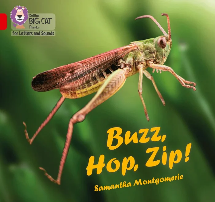 Buzz, Hop, Zip! (L2A), anglická kniha