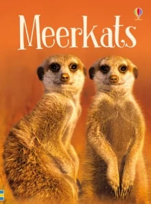 Meerkats, anglická kniha