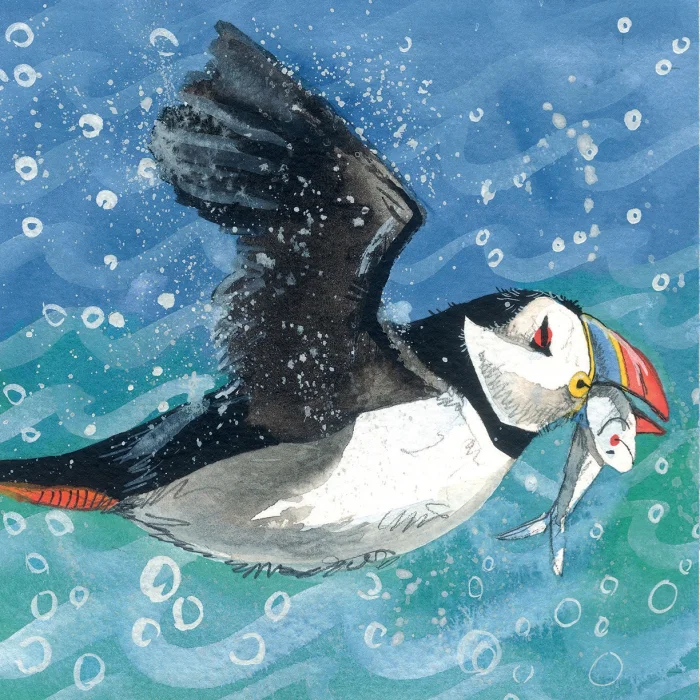 Puffin blank card (AC699), karta