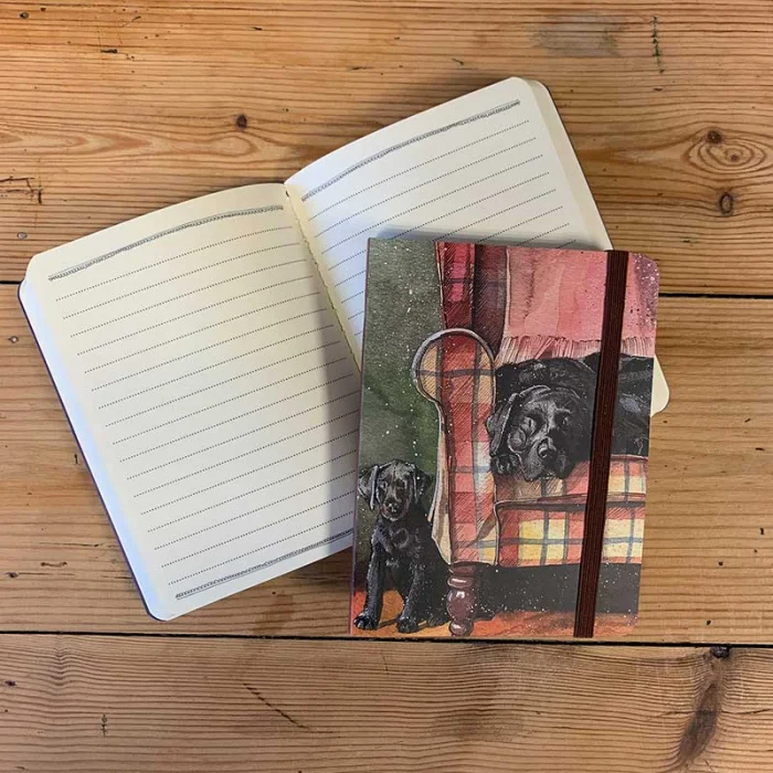Sophie and Scarlet Small Chunky Notebook A6 (SCN32), zápisník A6