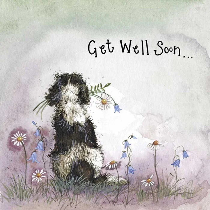 Starlight Spaniel Get Well Soon Card (LS163), malé prianie