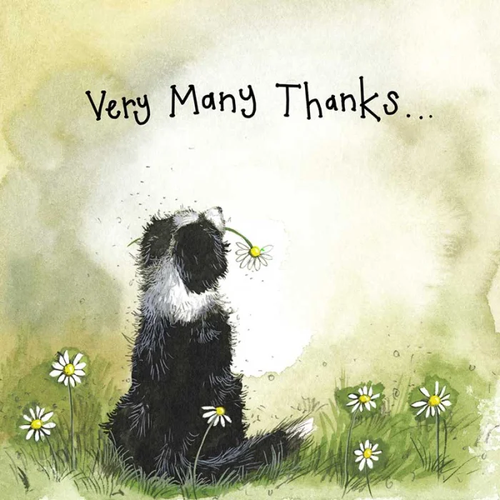 Sunshine Collie Thank You Card (LS173), malé prianie