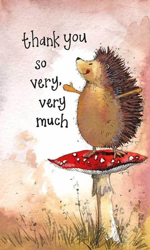 Thank You So Very, Very Much Hedgehog Notelets (NC49), mini pohľadnica s obálkou